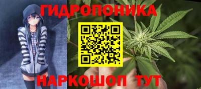 соль курить ск Сланцы